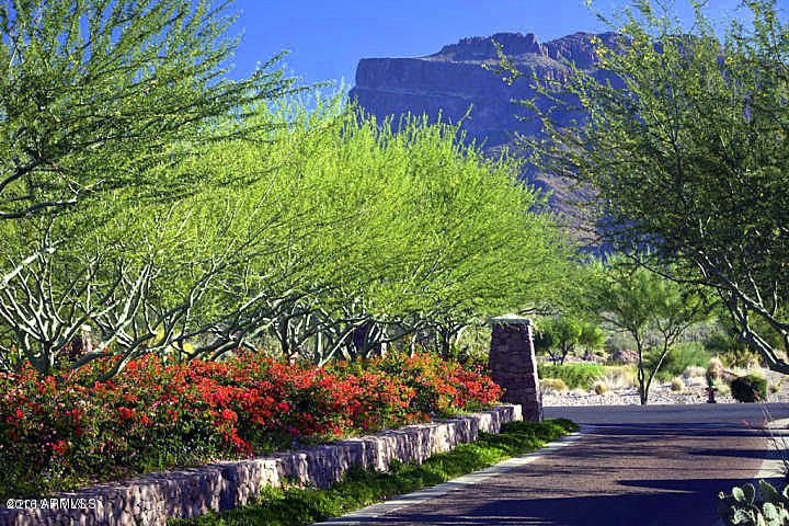 9431 E SUPERSTITION MOUNTAIN Drive, Gold Canyon, AZ 85118