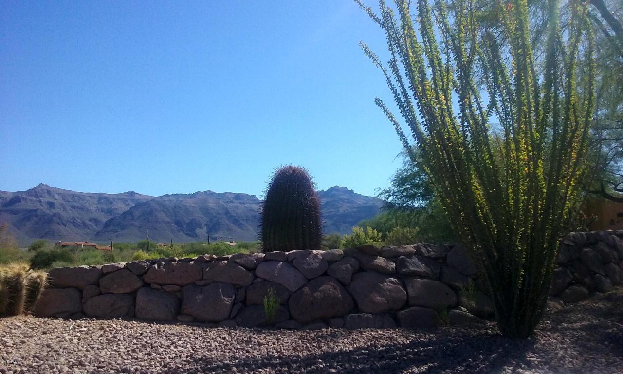 6885 E BIGHORN Court, Gold Canyon, AZ 85118
