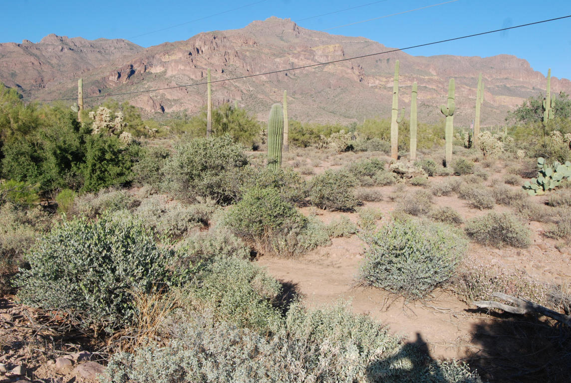 3300 S MOHICAN Road, Gold Canyon, AZ 85118