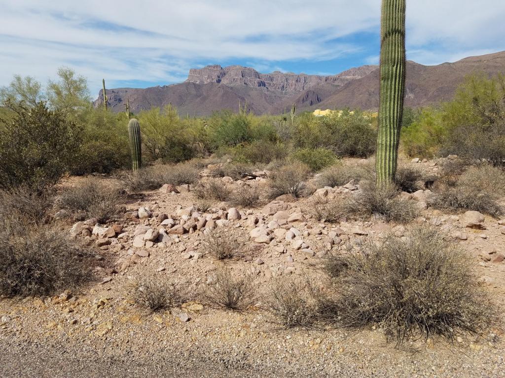 10046 E CLOUDVIEW Avenue, Gold Canyon, AZ 85118