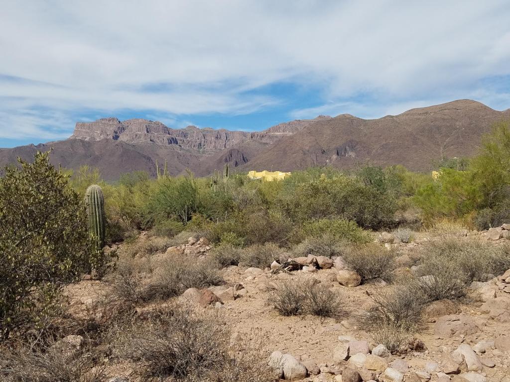 10046 E CLOUDVIEW Avenue, Gold Canyon, AZ 85118