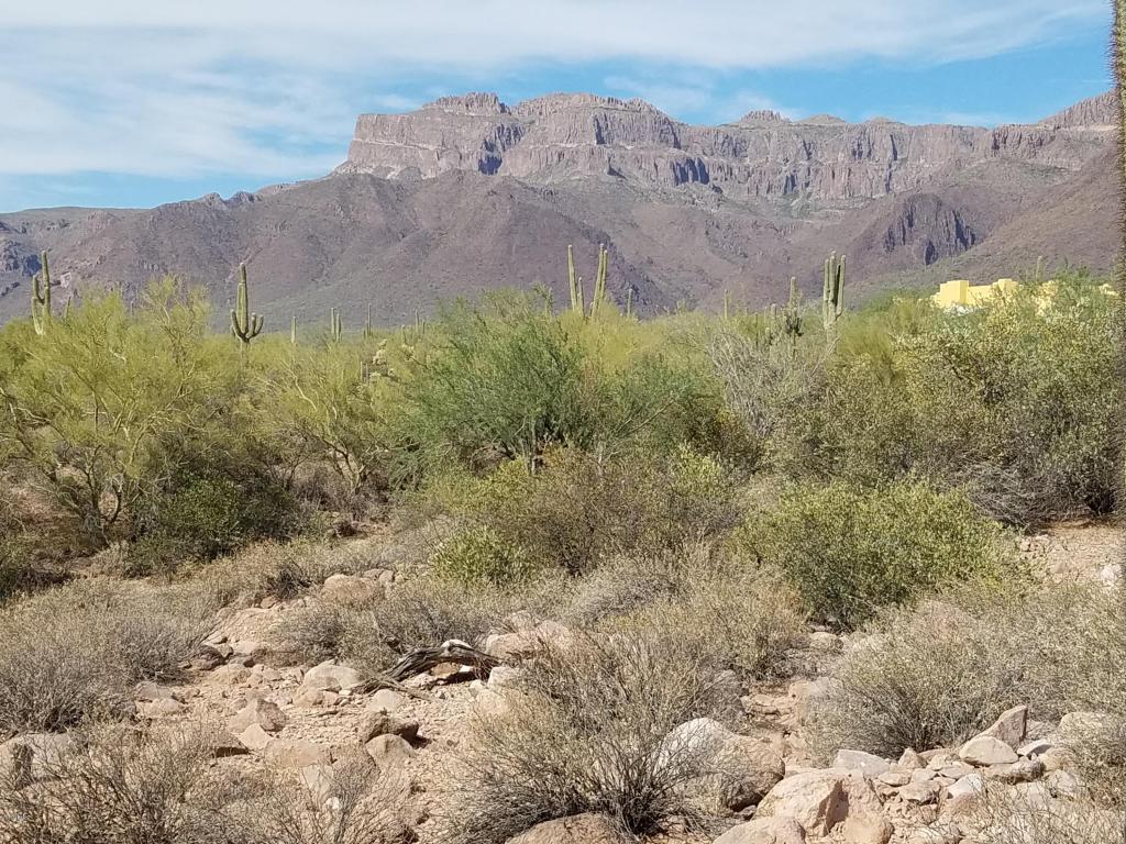 10046 E CLOUDVIEW Avenue, Gold Canyon, AZ 85118