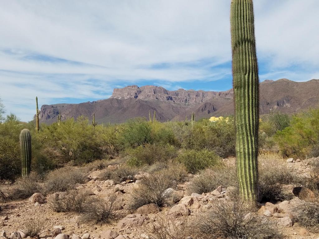 10046 E CLOUDVIEW Avenue, Gold Canyon, AZ 85118