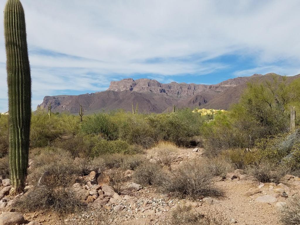 10046 E CLOUDVIEW Avenue, Gold Canyon, AZ 85118