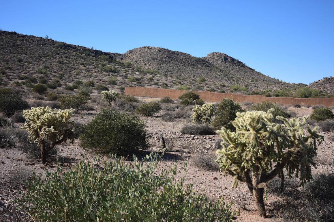 6553 E OLD CAMP Road, Gold Canyon, AZ 85118