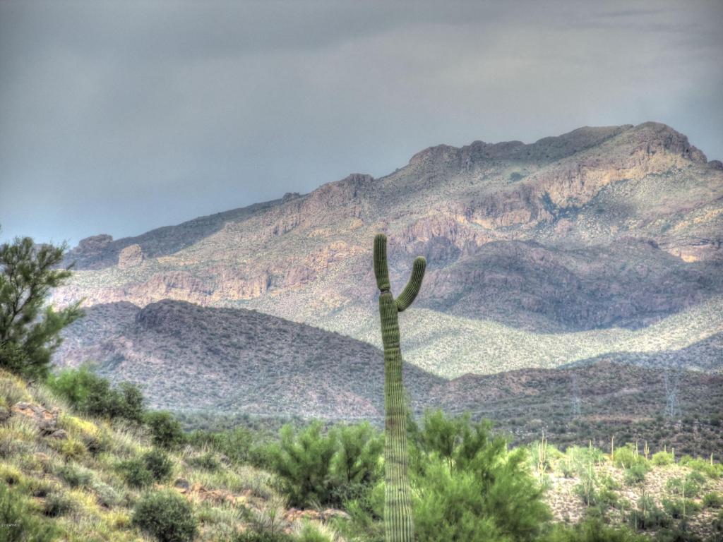 156 S PIEDRA NEGRA Drive, Queen Valley, AZ 85118