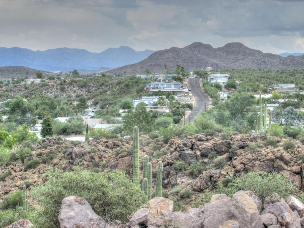 156 S PIEDRA NEGRA Drive, Queen Valley, AZ 85118