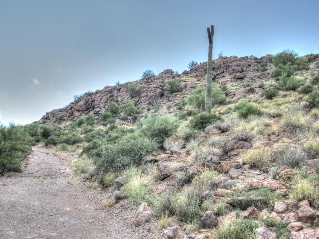 156 S PIEDRA NEGRA Drive, Queen Valley, AZ 85118