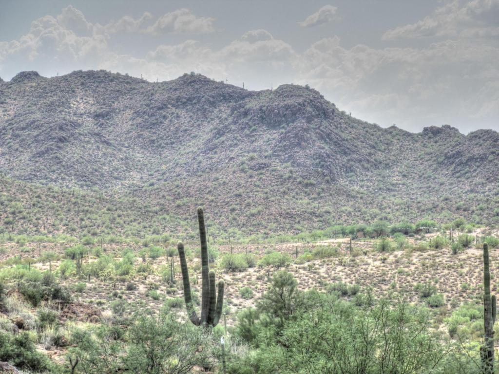 156 S PIEDRA NEGRA Drive, Queen Valley, AZ 85118