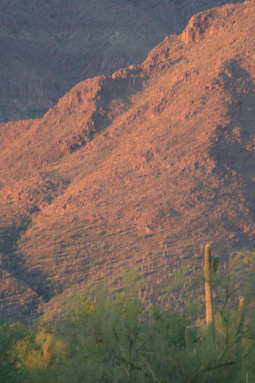 8227 E SUNSET VIEW Drive, Gold Canyon, AZ 85118