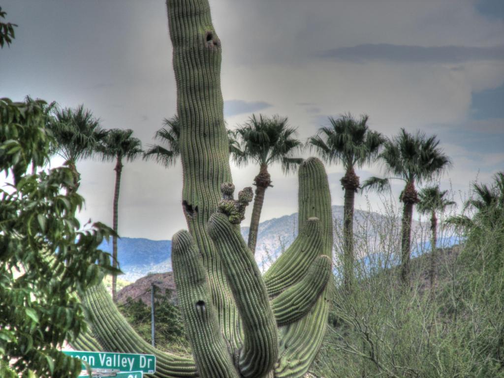 390 N Stallion Court, Queen Valley, AZ 85118