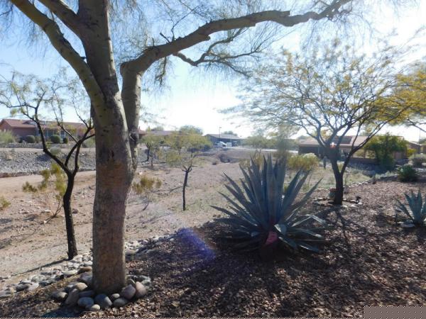 Montesa at Gold Canyon7373 E US Hwy 60 #139Gold Canyon, AZ 85118