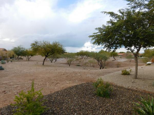 Montesa at Gold Canyon7373 E US HWY 60 #265Gold Canyon, AZ 85118