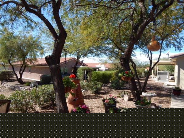 Montesa at Gold Canyon7373 E US Hwy 60 #227Gold Canyon, AZ 85118