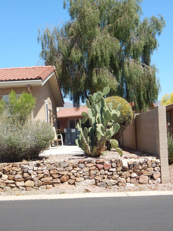 Montesa at Gold Canyon7373 E US Hwy 60 #143Gold Canyon, AZ 85118