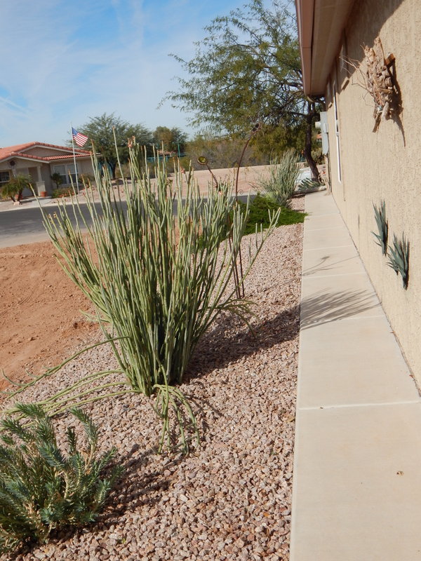 Montesa at Gold Canyon7373 E US Hwy 60 279Gold Canyon, AZ 85118