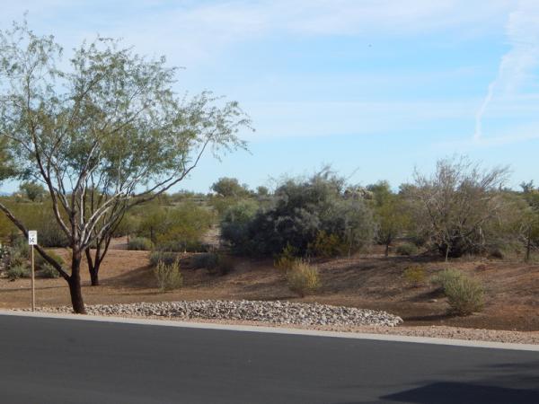Montesa at Gold Canyon7373 E US HWY 60 #241Gold Canyon, AZ 85118
