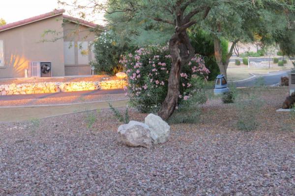 Montesa at Gold Canyon7373 E US HWY 60 #223Gold Canyon, AZ 85118