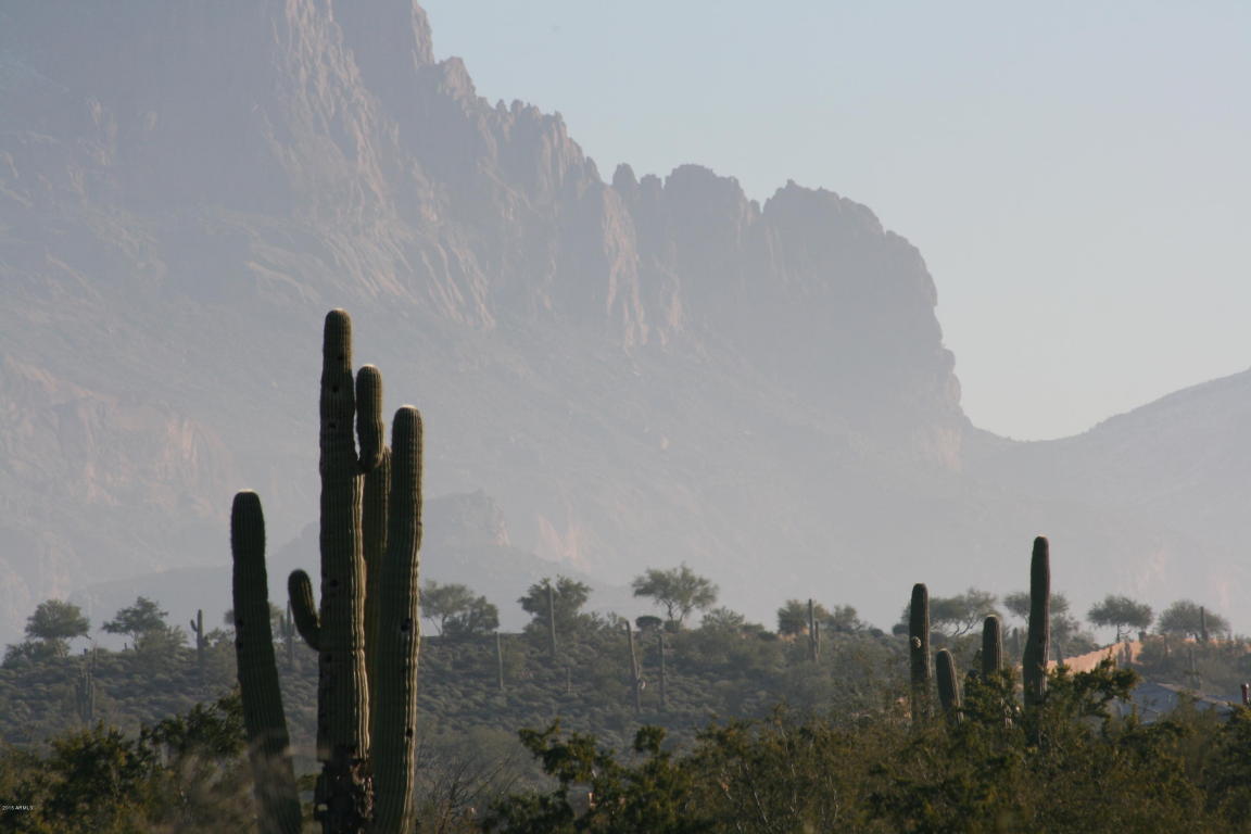 3564 S RINGTAIL Circle, Gold Canyon, AZ 85118