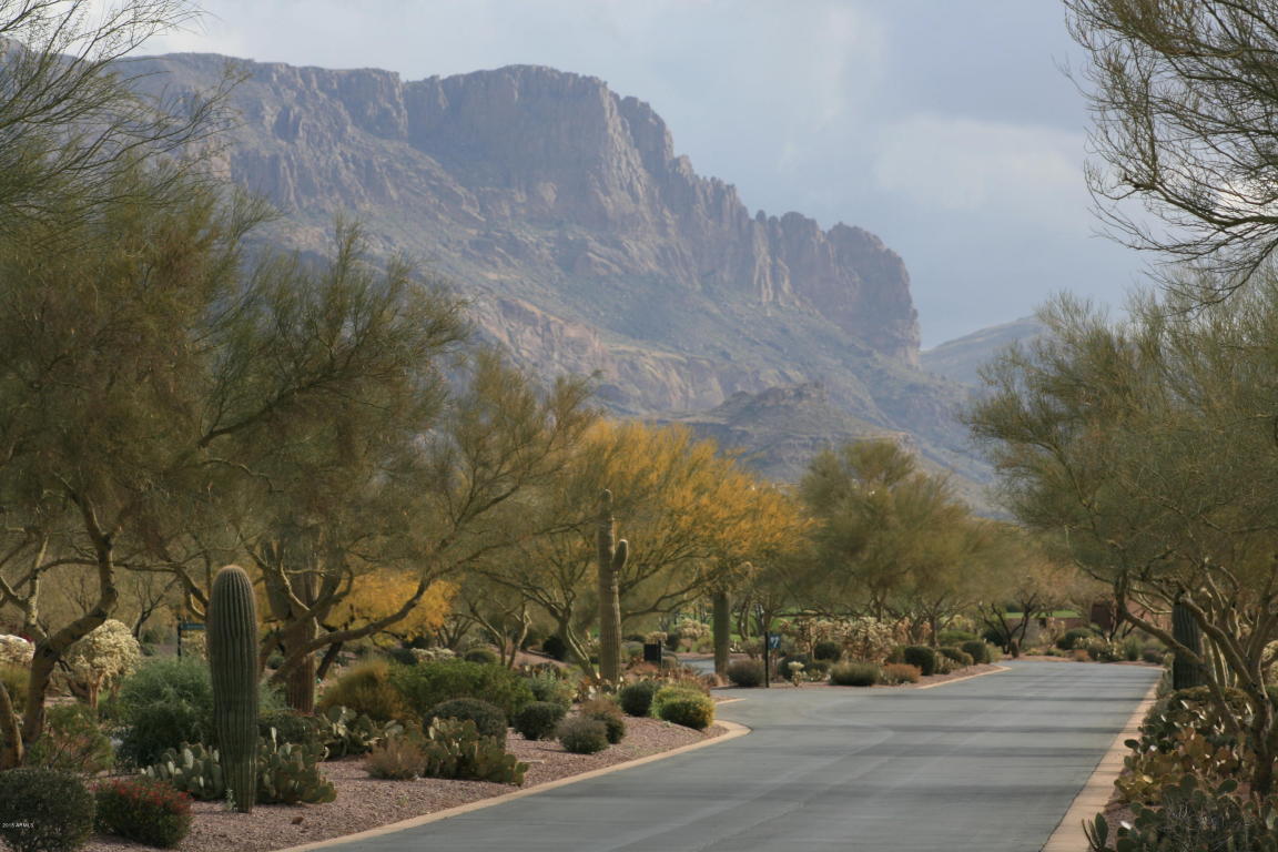 3564 S RINGTAIL Circle, Gold Canyon, AZ 85118