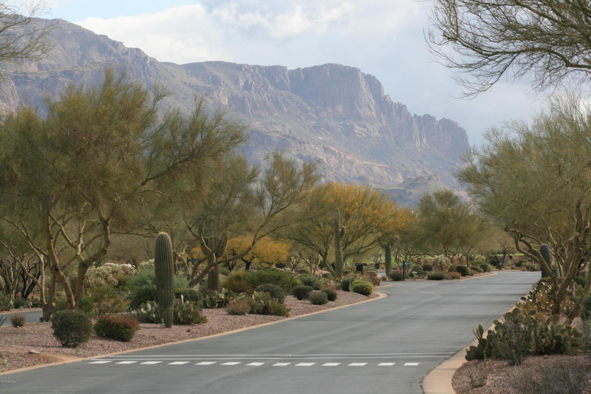 2720 S PINYON VILLAGE Drive, Gold Canyon, AZ 85118