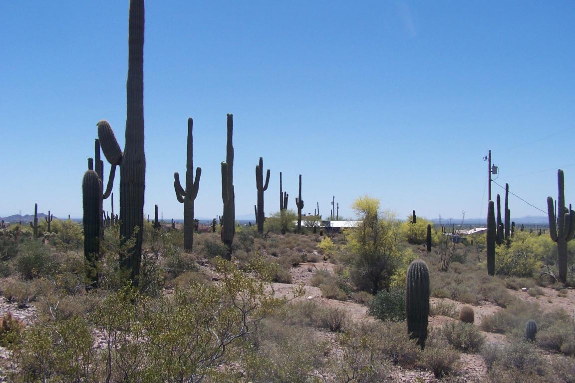 1453 E Moon Vista Street, Apache Junction, AZ 85119