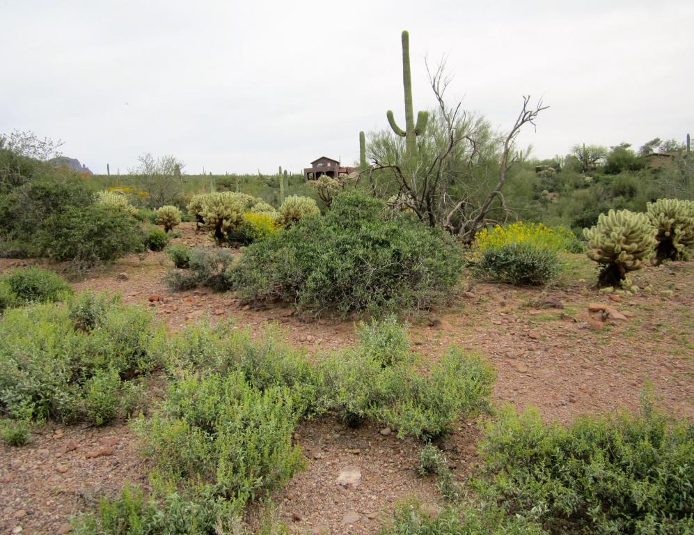 0 E Greasewood Street, Apache Junction, AZ 85119