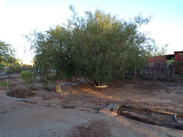 926 E 4th AveApache Junction, AZ, 85119Pinal County