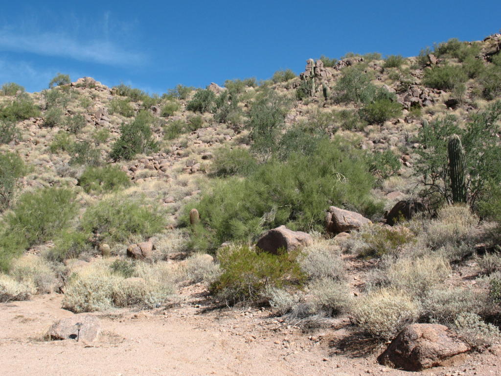 5600 N Monterey Drive, Apache Junction, AZ 85120