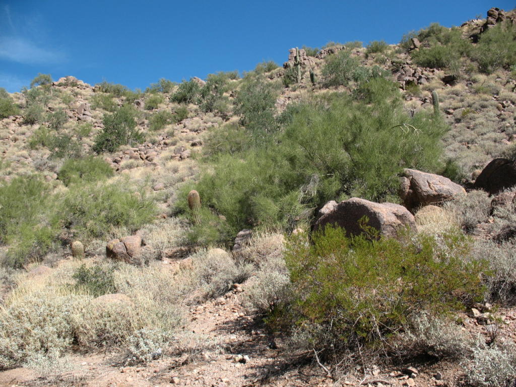 5600 N Monterey Drive, Apache Junction, AZ 85120