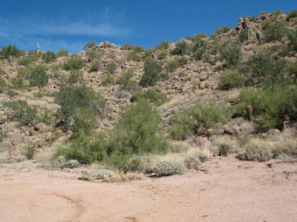 5600 N Monterey Drive, Apache Junction, AZ 85120