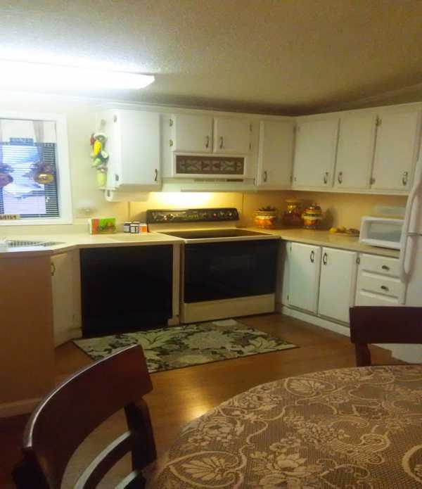 Lost Dutchman10936 E. APACHE TRAIL, LOT#46Apache Junction, AZ 85120