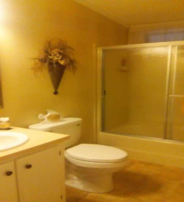 Lost Dutchman10936 E. APACHE TRAIL, LOT#46Apache Junction, AZ 85120