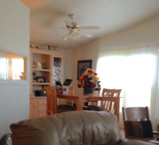 Husky Hollow Mobile Home Park1363 N. Plaza Dr. #8Apache Junction, AZ 85120