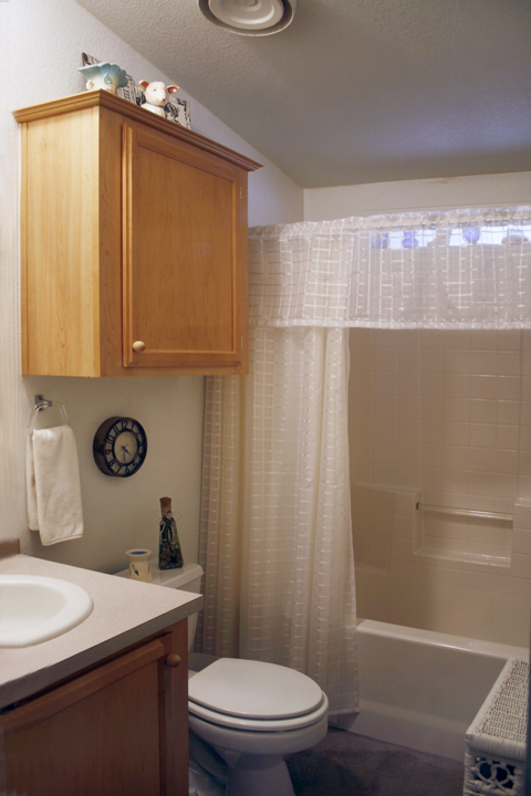 Desert Harbor3700 S Ironwood Dr., Lot 194Apache Junction, AZ 85120