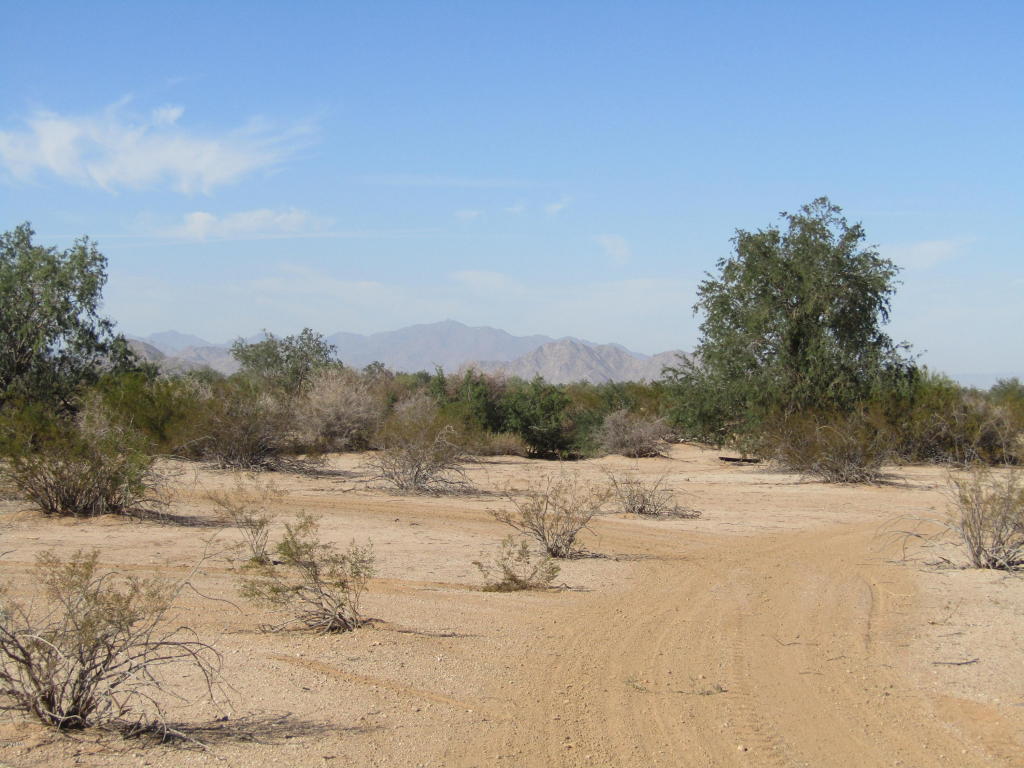XX W Whirly Bird Road, Maricopa, AZ 85139