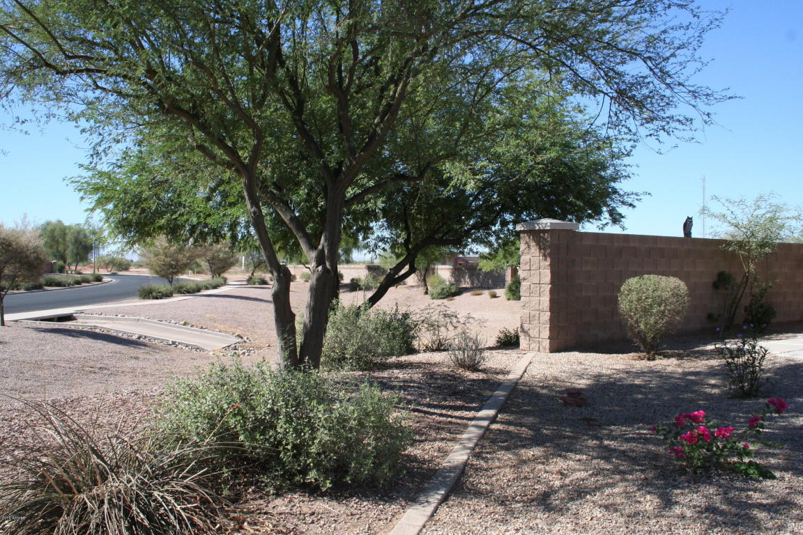 20674 N CARMEN Avenue, Maricopa, AZ 85139