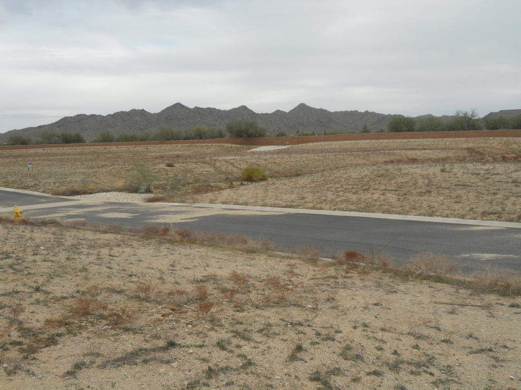 11074 W PROSPECTOR Drive, Queen Creek, AZ 85142