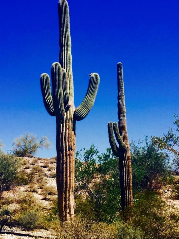 0 W Butterfield Trail, Queen Creek, AZ 85142