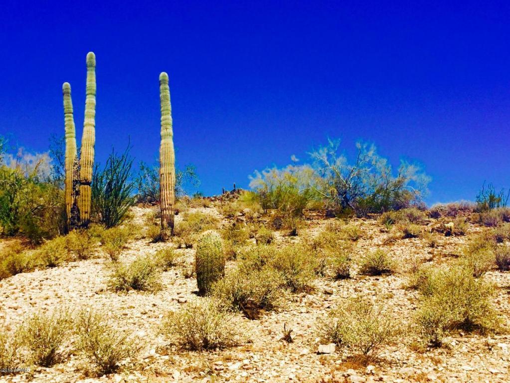 0 W Butterfield Trail, Queen Creek, AZ 85142