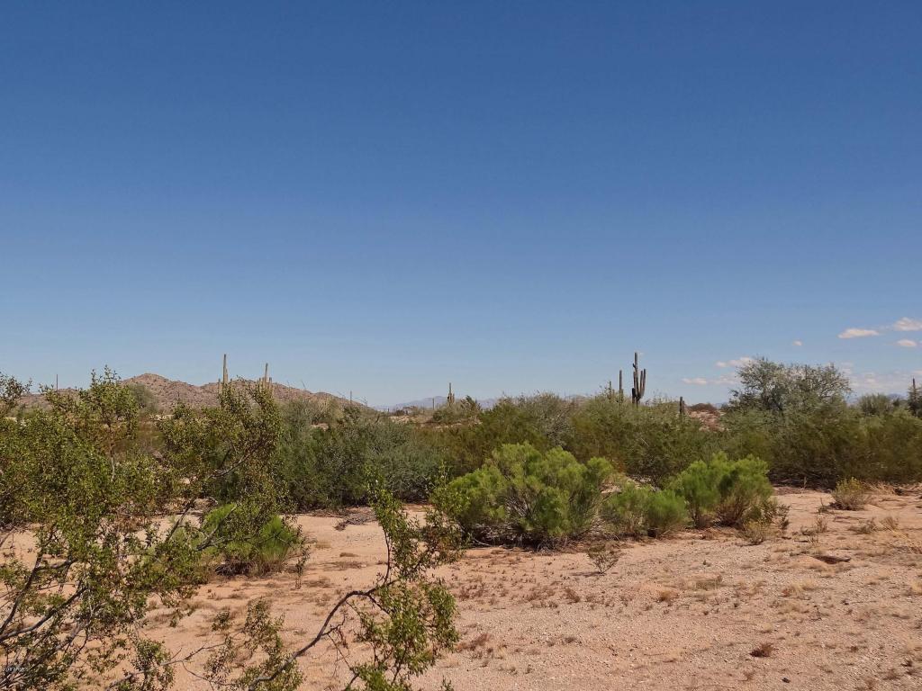 28427 N Mildred Road, Queen Creek, AZ 85142