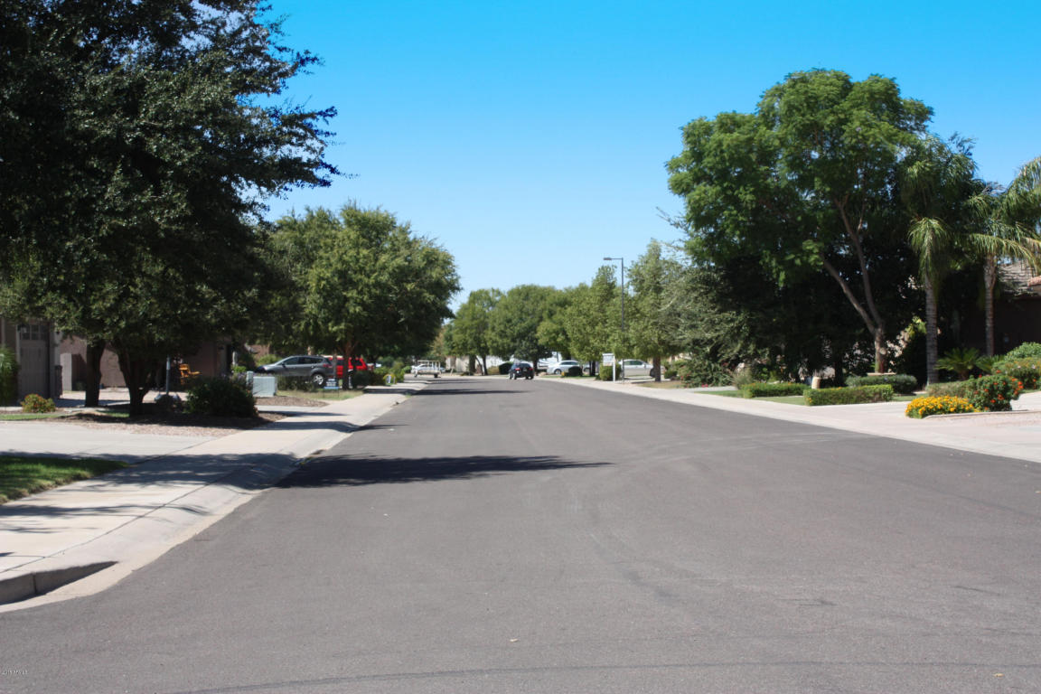 20422 E PALOMINO Drive, Queen Creek, AZ 85142