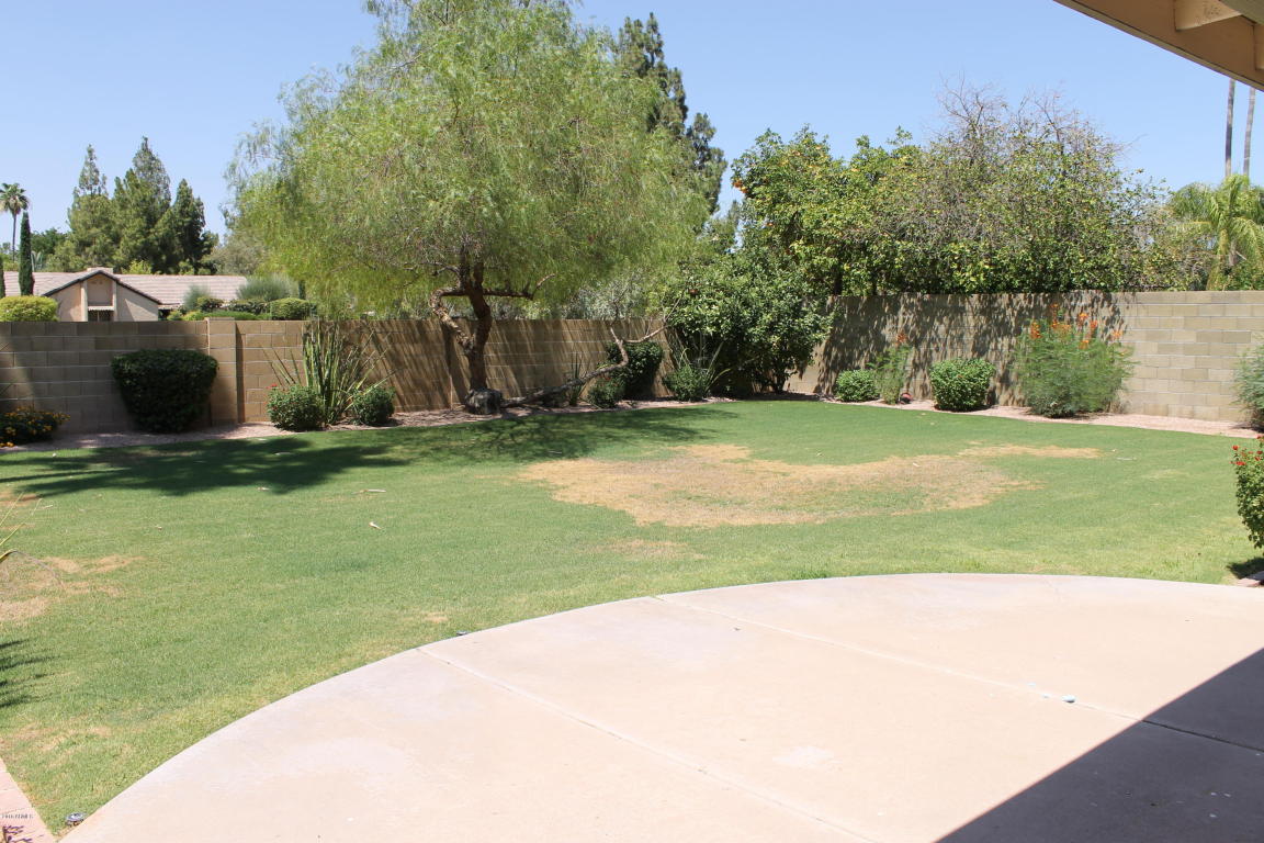 1732 E EVERGREEN Street, Mesa, AZ 85203