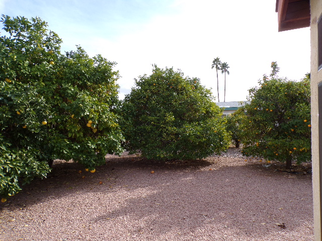 833 Leisure WorldMesa, AZ, 85206Maricopa County