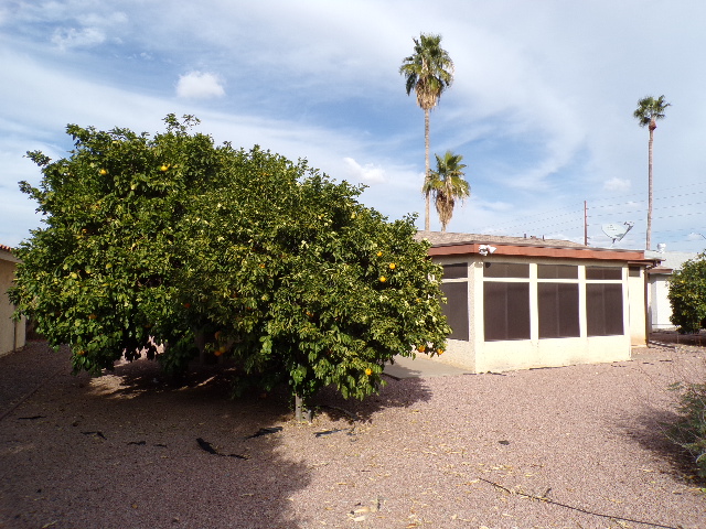 833 Leisure WorldMesa, AZ, 85206Maricopa County