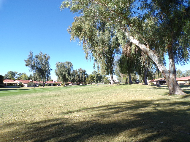 1152 Leisure WorldMesa, AZ, 85206Maricopa County