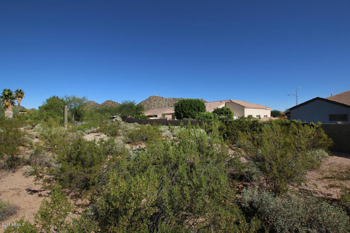 1251 N 94TH Street, Mesa, AZ 85207