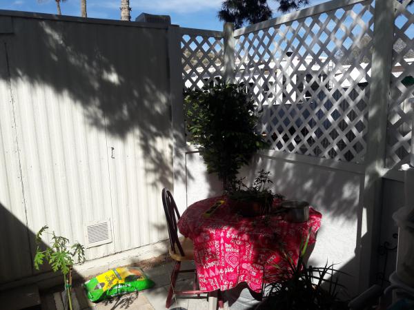 8421 E Main St #103 ,AZ, Mesa, 85207