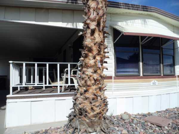 Viewpoint Golf Resort8700 E. University Dr. # 0932Mesa, AZ 85207