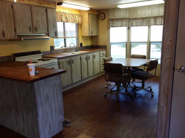 Silver Spur Village9333 E. University Dr., Lot 47Mesa, AZ 85207